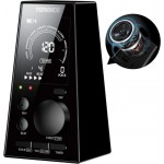 ELECTRONIC REGULATOR JR1011